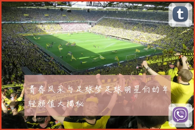 青春风采与足球梦足球明星们的年轻颜值大揭秘