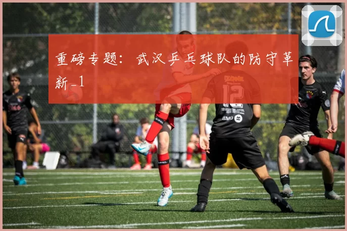 重磅专题：武汉乒乓球队的防守革新_1