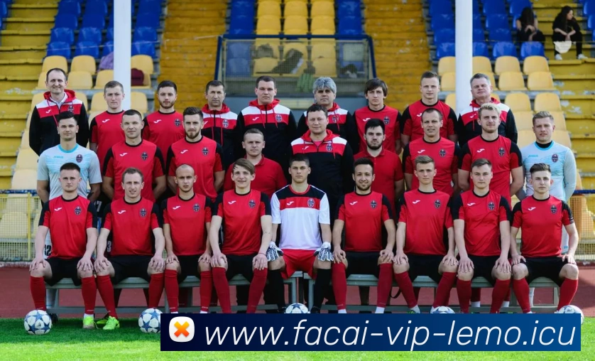 华体会体育平台生态图